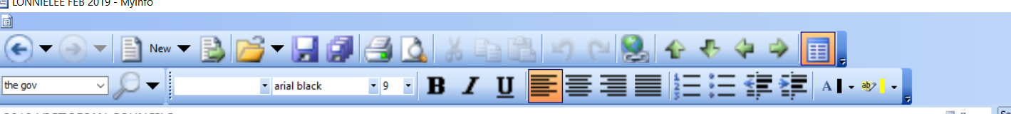 Myinfo Toolbar-no text.PNG